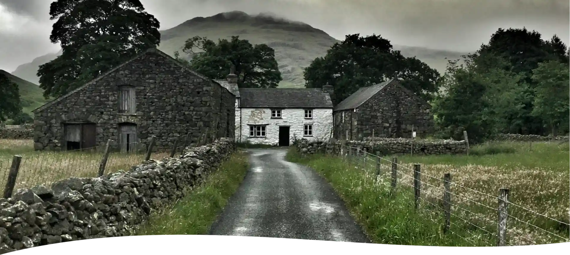 Building Blocks of the Program